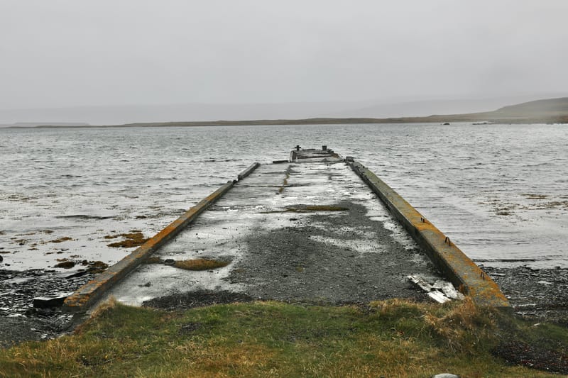 5. Fjords de l'Ouest 4 : Suoavik, Heydalur, Reykjanes, Côtes du Strandir, Drangsnes, Djupavik, Norourfjorour