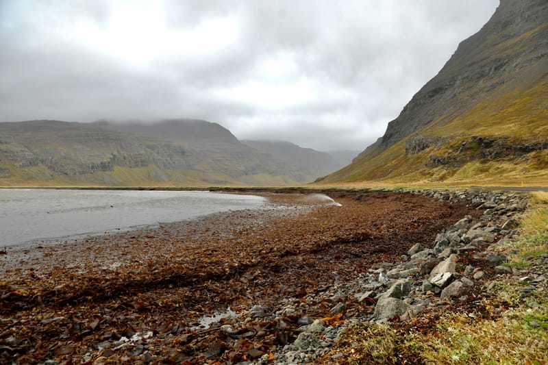 5. Fjords de l'Ouest 4 : Suoavik, Heydalur, Reykjanes, Côtes du Strandir, Drangsnes, Djupavik, Norourfjorour