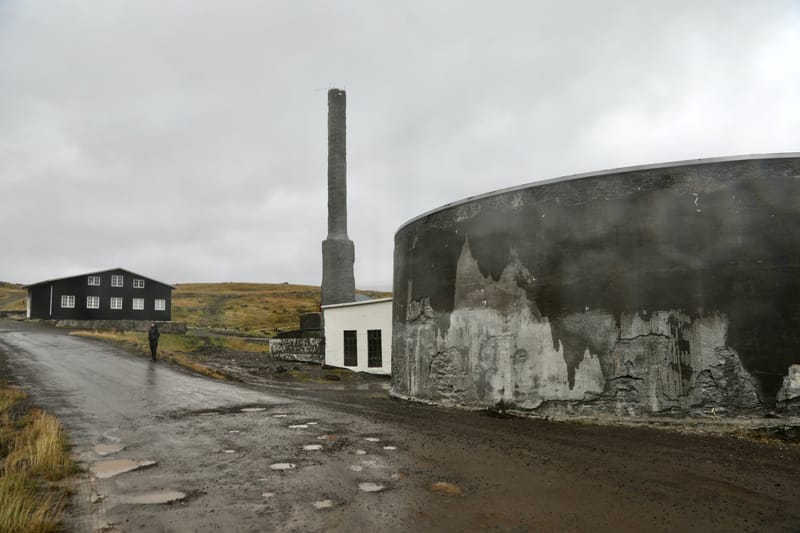 5. Fjords de l'Ouest 4 : Suoavik, Heydalur, Reykjanes, Côtes du Strandir, Drangsnes, Djupavik, Norourfjorour