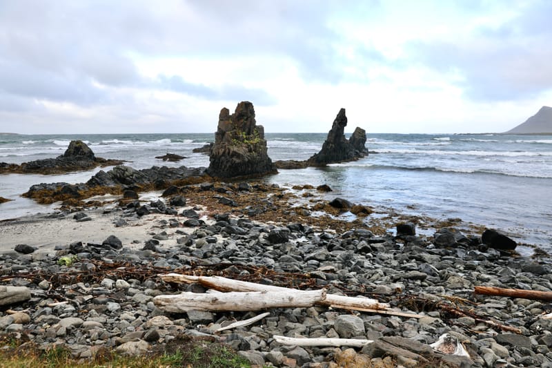 5. Fjords de l'Ouest 4 : Suoavik, Heydalur, Reykjanes, Côtes du Strandir, Drangsnes, Djupavik, Norourfjorour