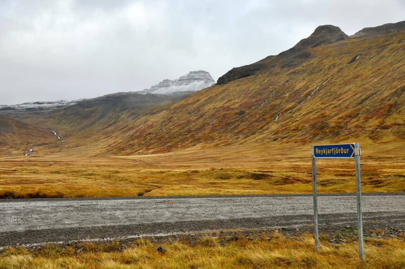 6. Nord Ouest : Holmavik, Hvammstangi, péninsule de Vatnsnes : Osar, Hvitserkur