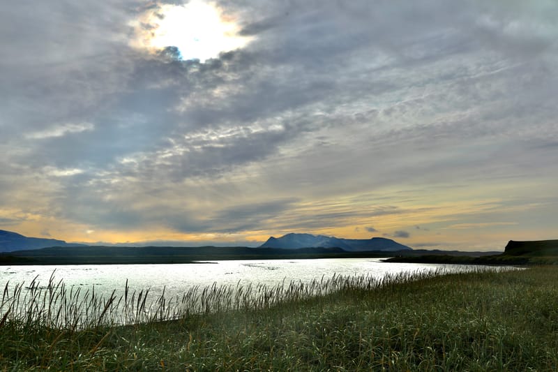 6. Nord Ouest : Holmavik, Hvammstangi, péninsule de Vatnsnes : Osar, Hvitserkur