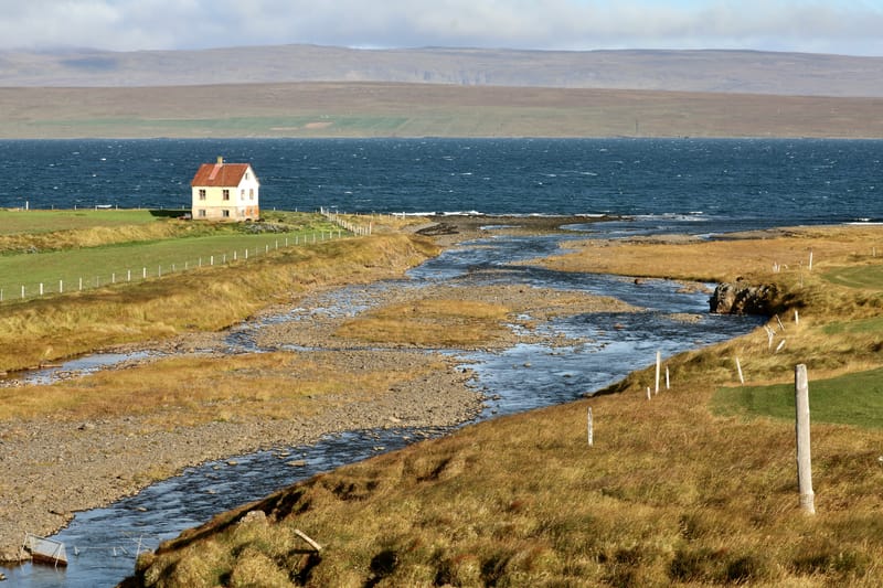 6. Nord Ouest : Holmavik, Hvammstangi, péninsule de Vatnsnes : Osar, Hvitserkur