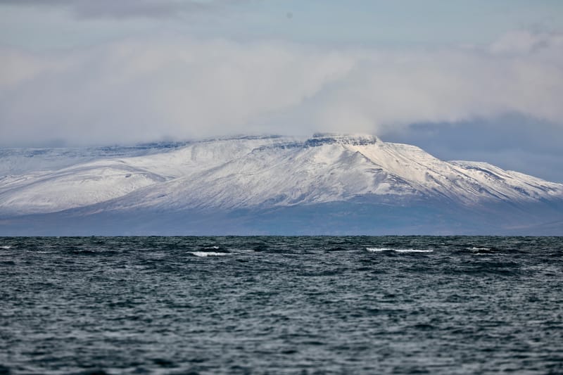 6. Nord Ouest : Holmavik, Hvammstangi, péninsule de Vatnsnes : Osar, Hvitserkur