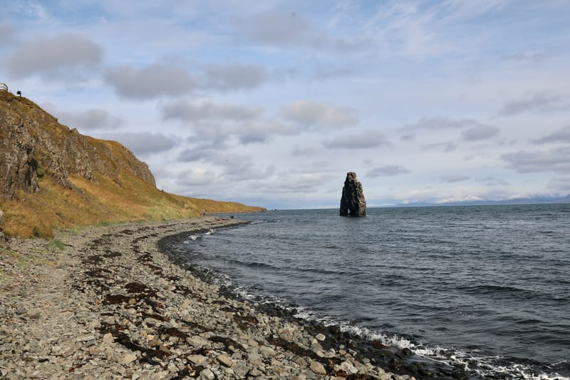 6. Nord Ouest : Holmavik, Hvammstangi, péninsule de Vatnsnes : Osar, Hvitserkur