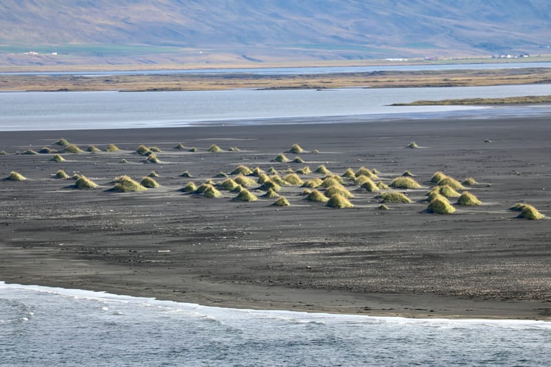 6. Nord Ouest : Holmavik, Hvammstangi, péninsule de Vatnsnes : Osar, Hvitserkur