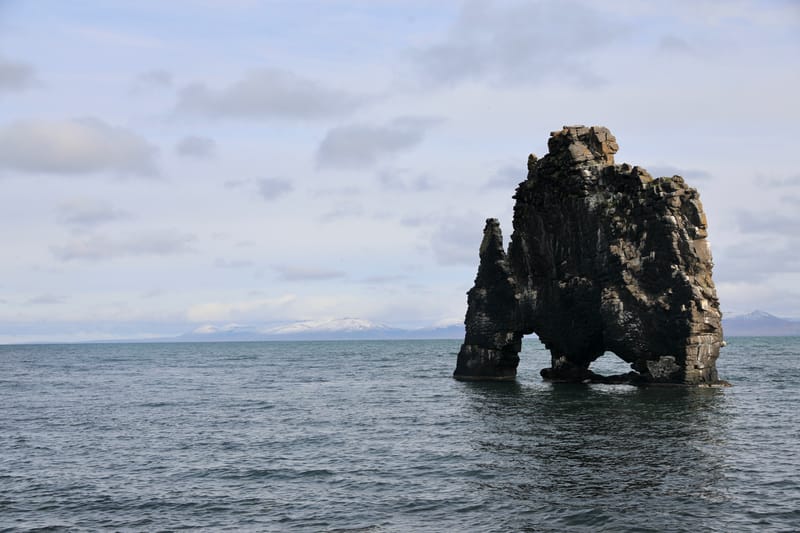 6. Nord Ouest : Holmavik, Hvammstangi, péninsule de Vatnsnes : Osar, Hvitserkur
