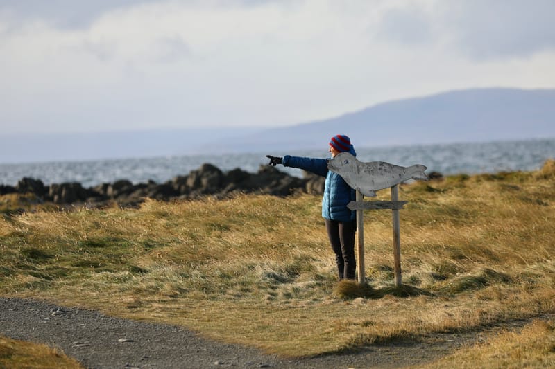 6. Nord Ouest : Holmavik, Hvammstangi, péninsule de Vatnsnes : Osar, Hvitserkur