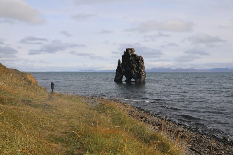 6. Nord Ouest : Holmavik, Hvammstangi, péninsule de Vatnsnes : Osar, Hvitserkur