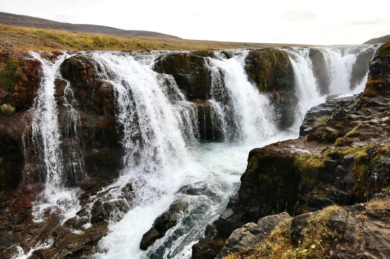 6. Nord Ouest : Holmavik, Hvammstangi, péninsule de Vatnsnes : Osar, Hvitserkur