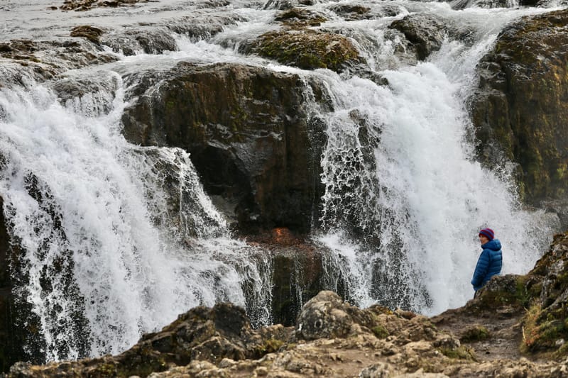 6. Nord Ouest : Holmavik, Hvammstangi, péninsule de Vatnsnes : Osar, Hvitserkur