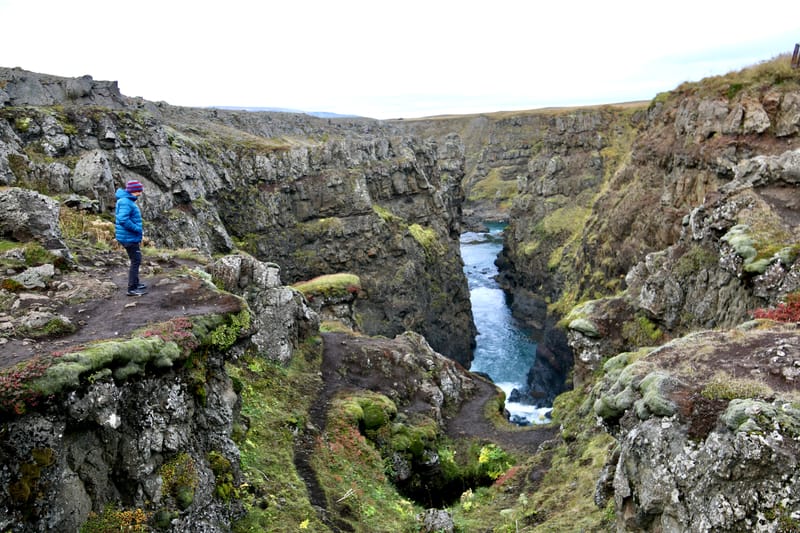 6. Nord Ouest : Holmavik, Hvammstangi, péninsule de Vatnsnes : Osar, Hvitserkur