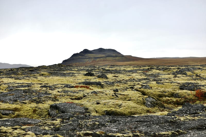 7. Le Cercle d'Or 1 : Stakholt, Hun, Pingvellir NP
