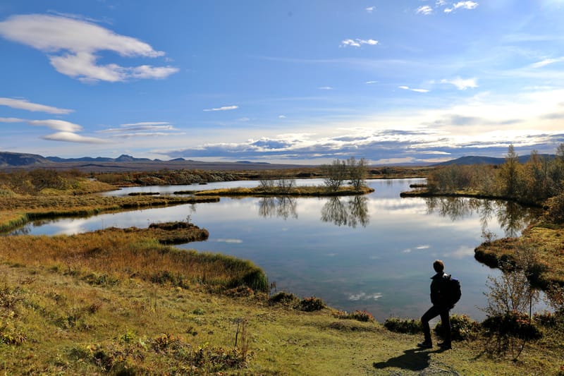 7. Le Cercle d'Or 1 : Stakholt, Hun, Pingvellir NP