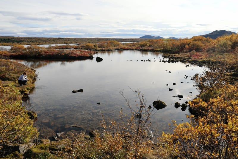 7. Le Cercle d'Or 1 : Stakholt, Hun, Pingvellir NP