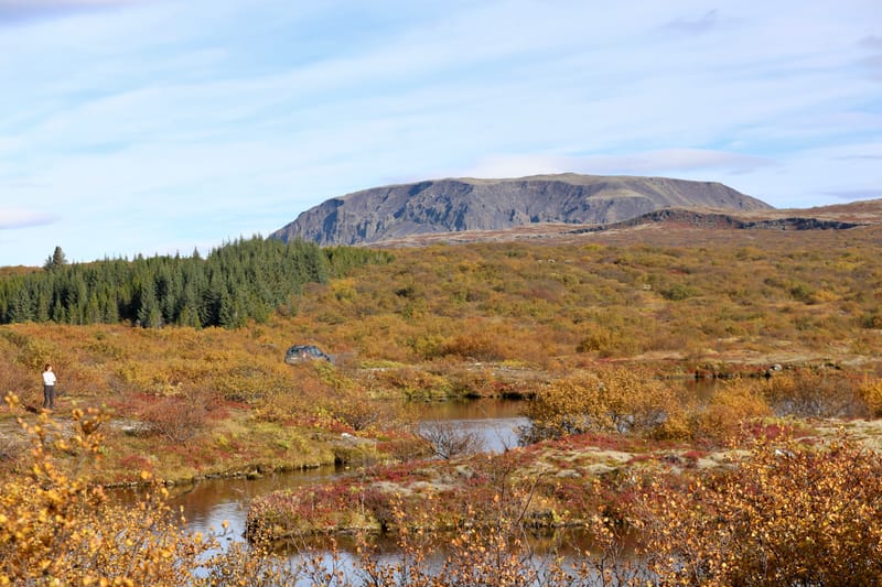 7. Le Cercle d'Or 1 : Stakholt, Hun, Pingvellir NP