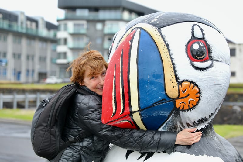 9. Sud Ouest : Iles Vestmann et Heimaey