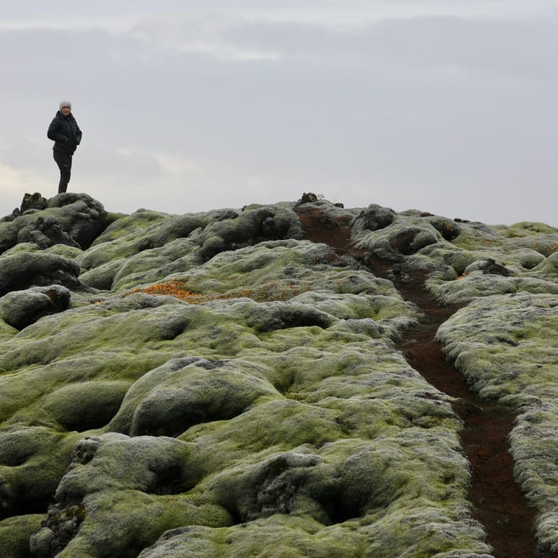 14. Sud Est 1 : Skarfatounga, Svartifoss, Skatafellsjokull, Svinafellsjokull