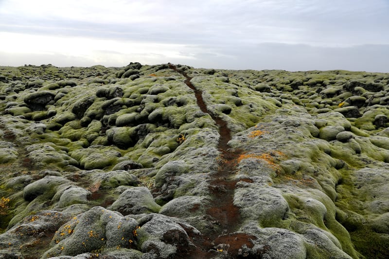14. Sud Est 1 : Skarfatounga, Svartifoss, Skatafellsjokull, Svinafellsjokull