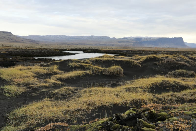14. Sud Est 1 : Skarfatounga, Svartifoss, Skatafellsjokull, Svinafellsjokull