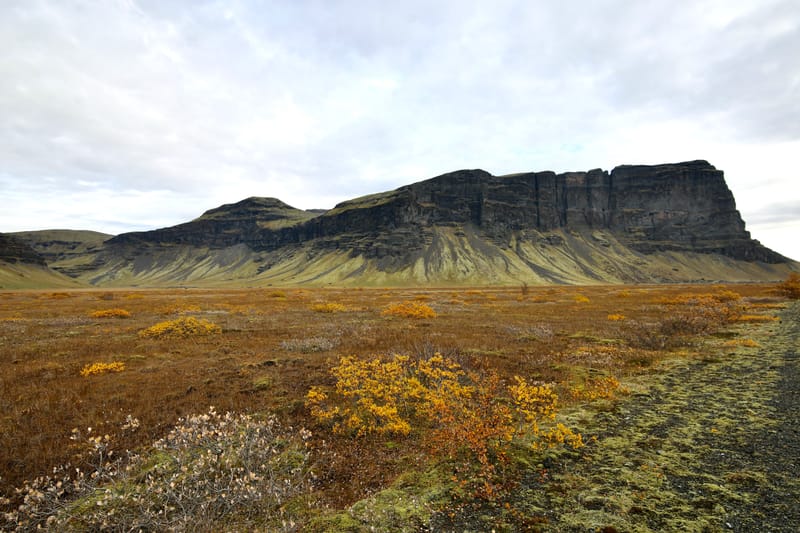 14. Sud Est 1 : Skarfatounga, Svartifoss, Skatafellsjokull, Svinafellsjokull