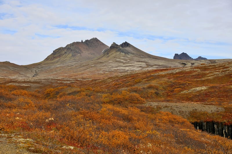 14. Sud Est 1 : Skarfatounga, Svartifoss, Skatafellsjokull, Svinafellsjokull