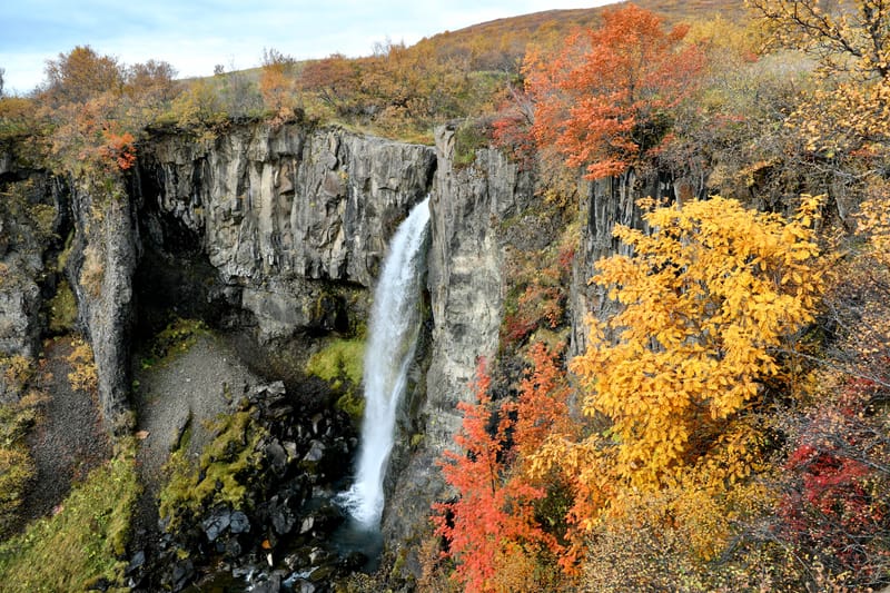 14. Sud Est 1 : Skarfatounga, Svartifoss, Skatafellsjokull, Svinafellsjokull