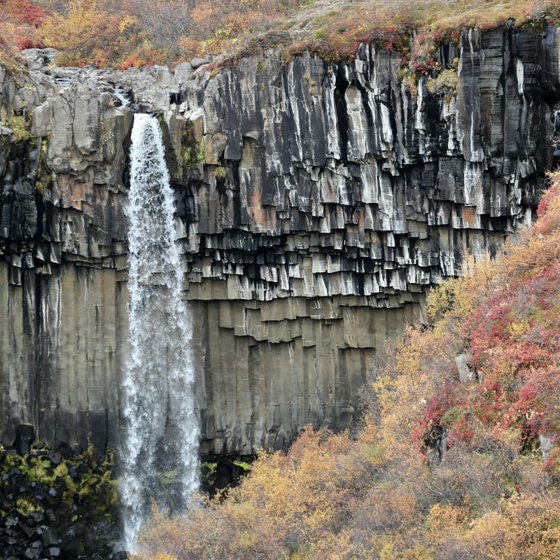 14. Sud Est 1 : Skarfatounga, Svartifoss, Skatafellsjokull, Svinafellsjokull