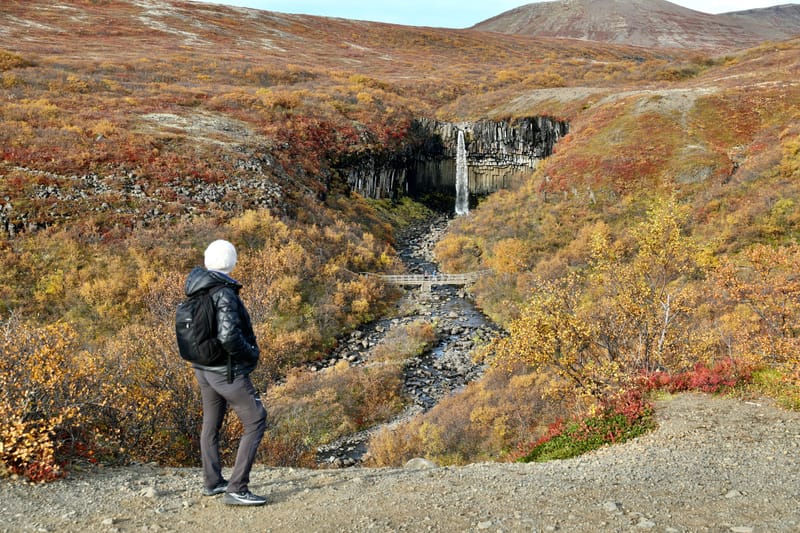 14. Sud Est 1 : Skarfatounga, Svartifoss, Skatafellsjokull, Svinafellsjokull