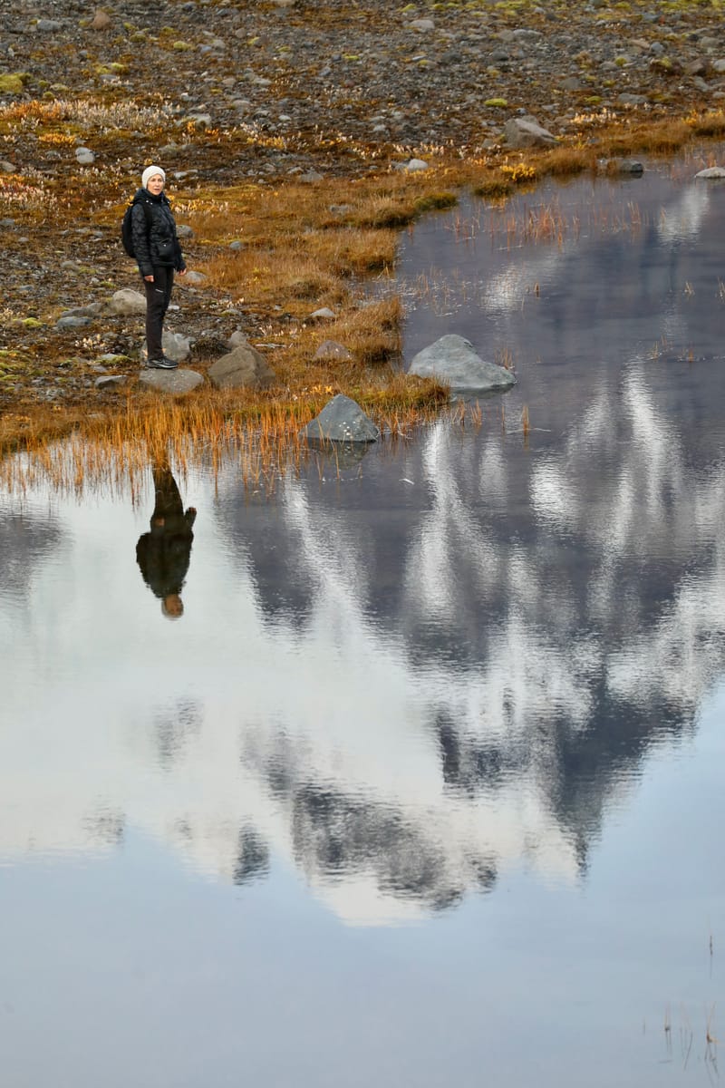 14. Sud Est 1 : Skarfatounga, Svartifoss, Skatafellsjokull, Svinafellsjokull