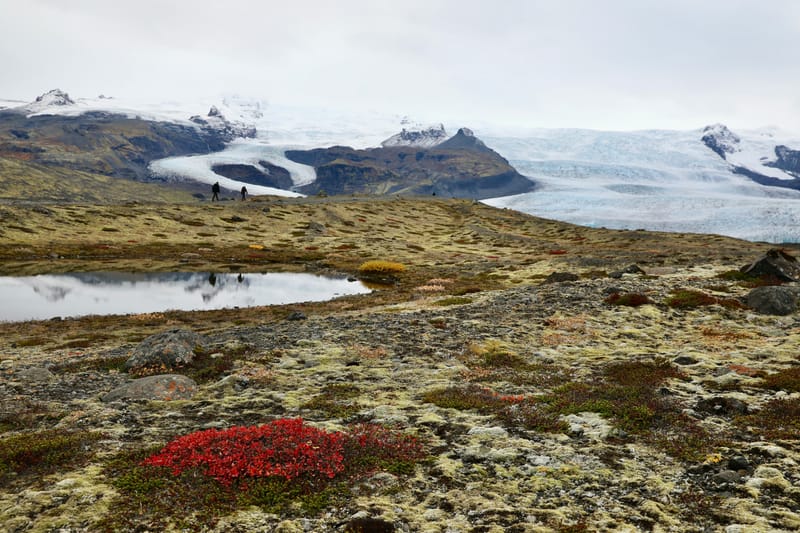 15. Sud Est 2 : Fjallarson et Ektra Glacier Home