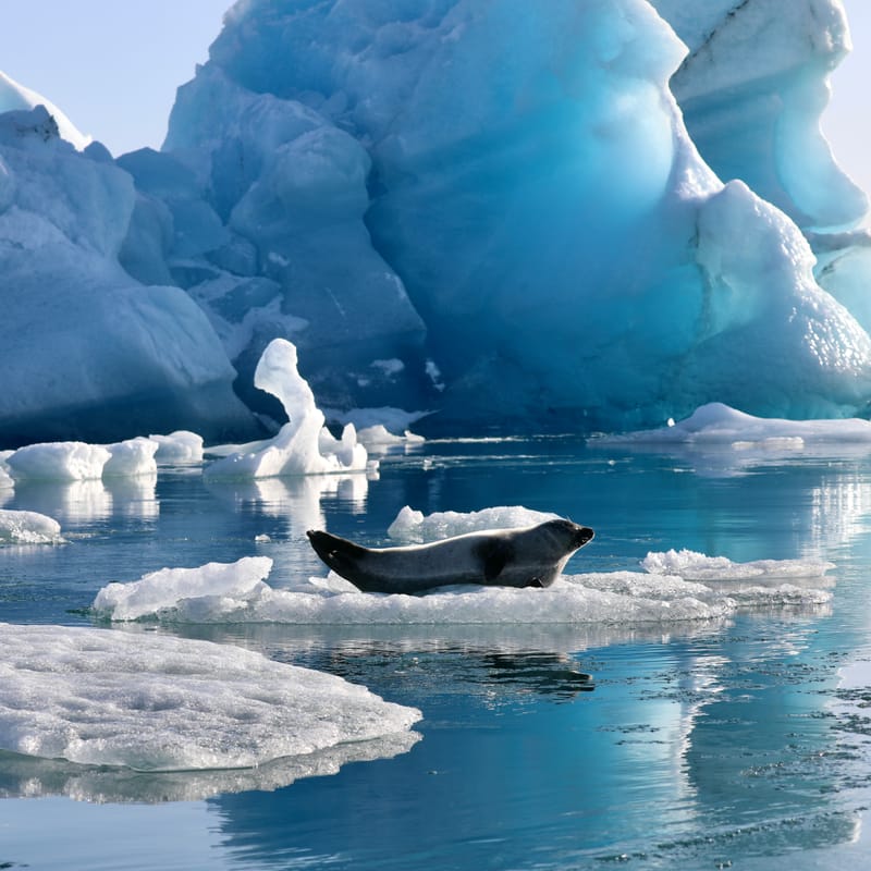 16; Sud Est 3 : Jokulsarlon et DIamond Beach - fin du périple islandais
