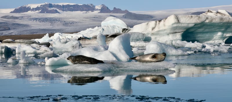 16; Sud Est 3 : Jokulsarlon et DIamond Beach - fin du périple islandais