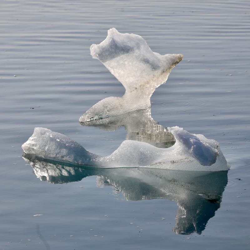 16; Sud Est 3 : Jokulsarlon et DIamond Beach - fin du périple islandais