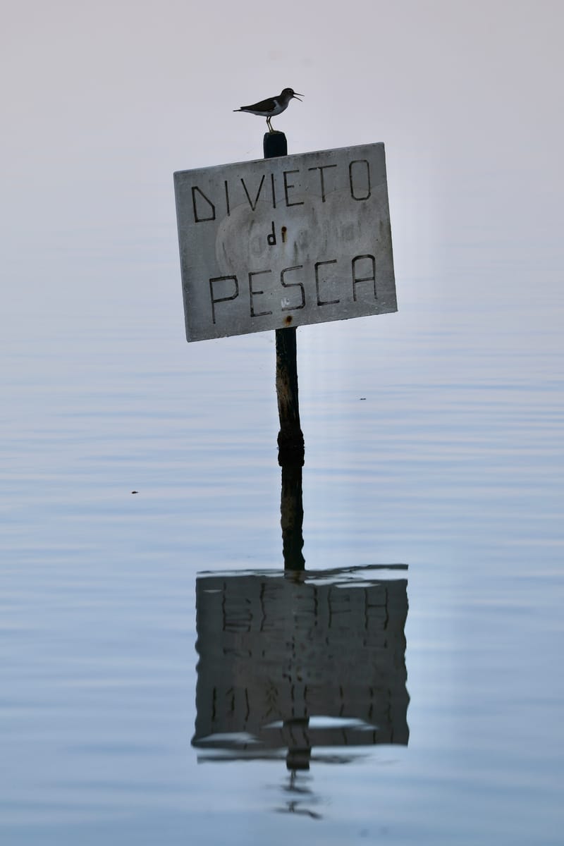 8. Vénétie : Grado et Aquileia