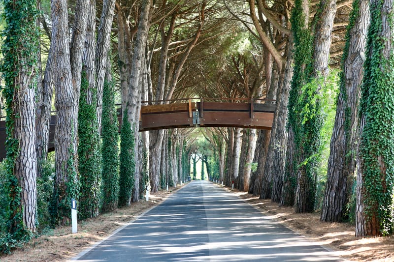 8. Vénétie : Grado et Aquileia