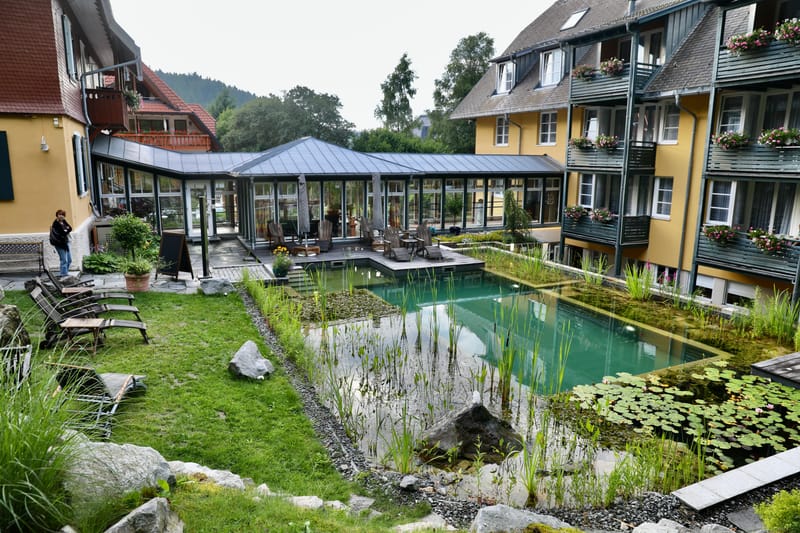 1. ALLEMAGNE 1 : FORET NOIRE - Hinterzalten, Schluchsee, Schiltach