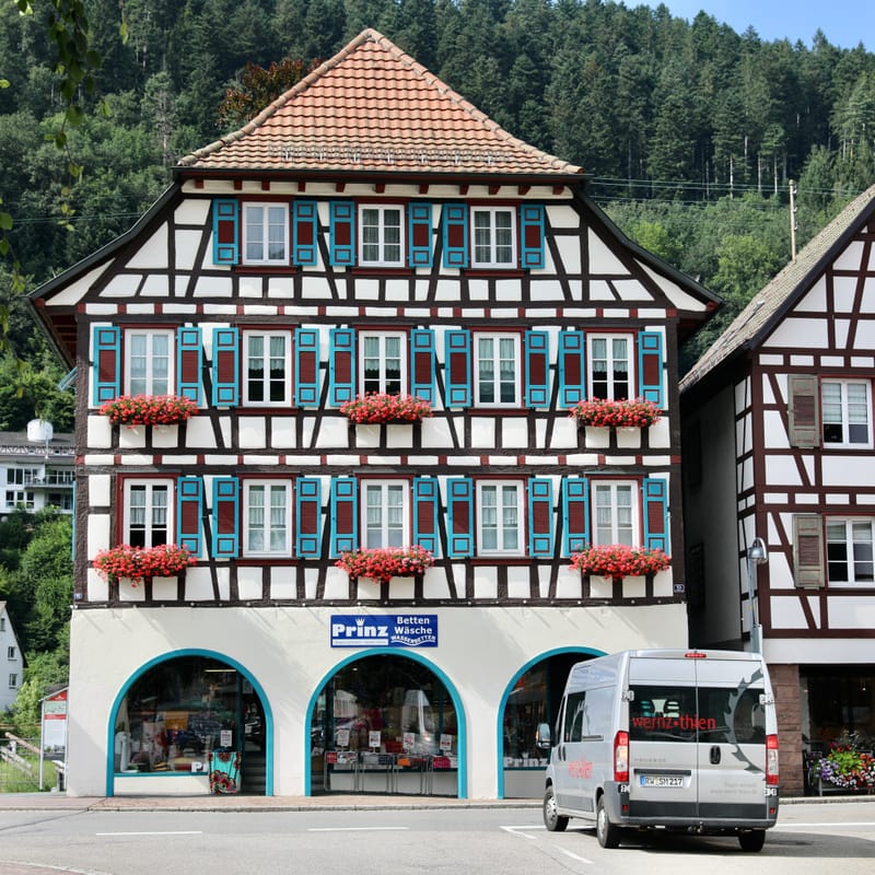 1. ALLEMAGNE 1 : FORET NOIRE - Hinterzalten, Schluchsee, Schiltach