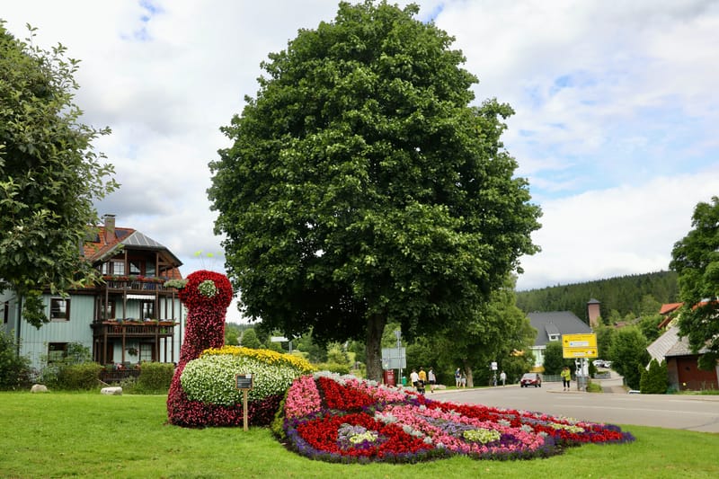 1. ALLEMAGNE 1 : FORET NOIRE - Hinterzalten, Schluchsee, Schiltach