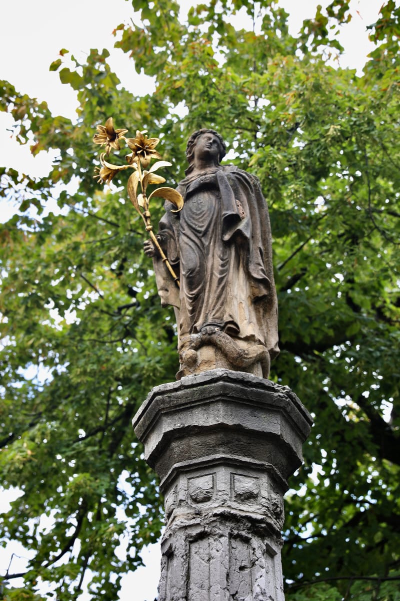 2. ALLEMAGNE 2 : FREIBOURG et l'Eco-quartier Vauban