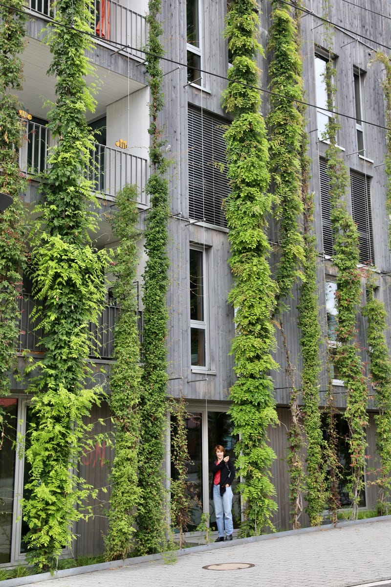 2. ALLEMAGNE 2 : FREIBOURG et l'Eco-quartier Vauban