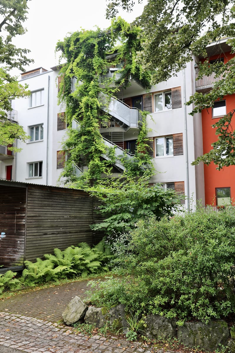 2. ALLEMAGNE 2 : FREIBOURG et l'Eco-quartier Vauban