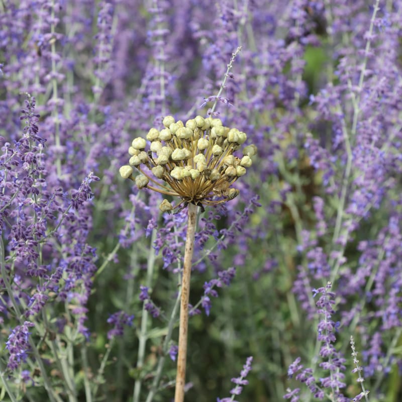 3. SUISSE 1 : BALE 1, Vitra Design Museum & Fondation Beyeler