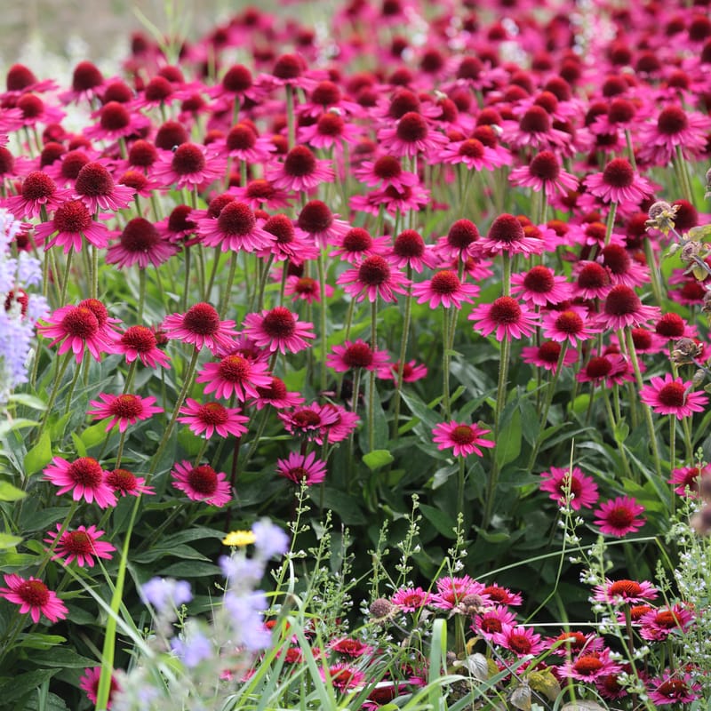 3. SUISSE 1 : BALE 1, Vitra Design Museum & Fondation Beyeler