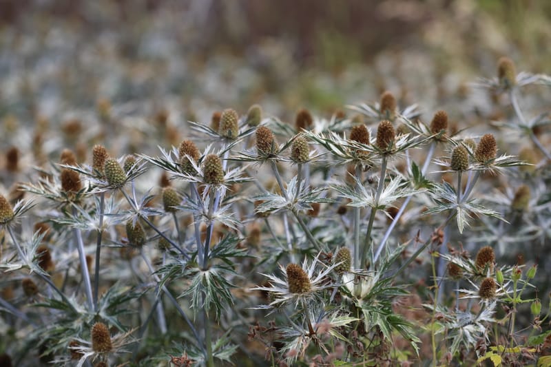 3. SUISSE 1 : BALE 1, Vitra Design Museum & Fondation Beyeler