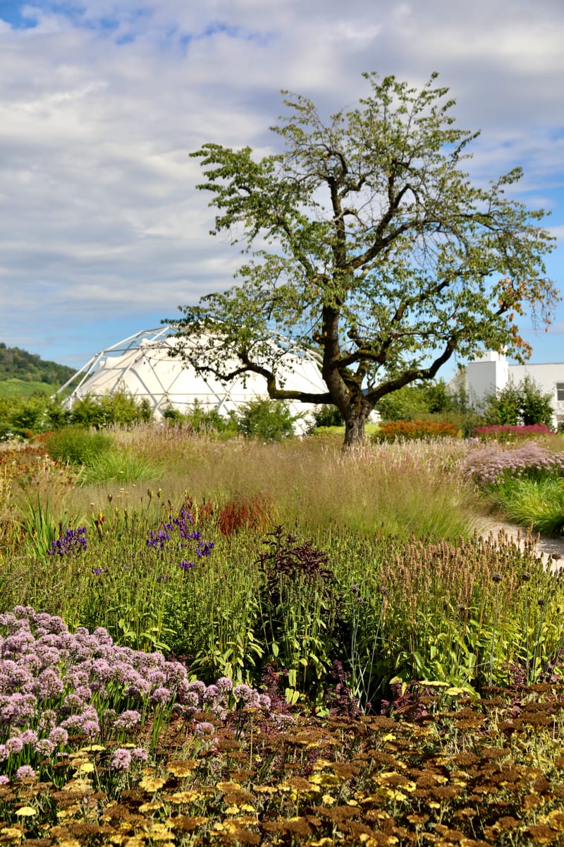 3. SUISSE 1 : BALE 1, Vitra Design Museum & Fondation Beyeler