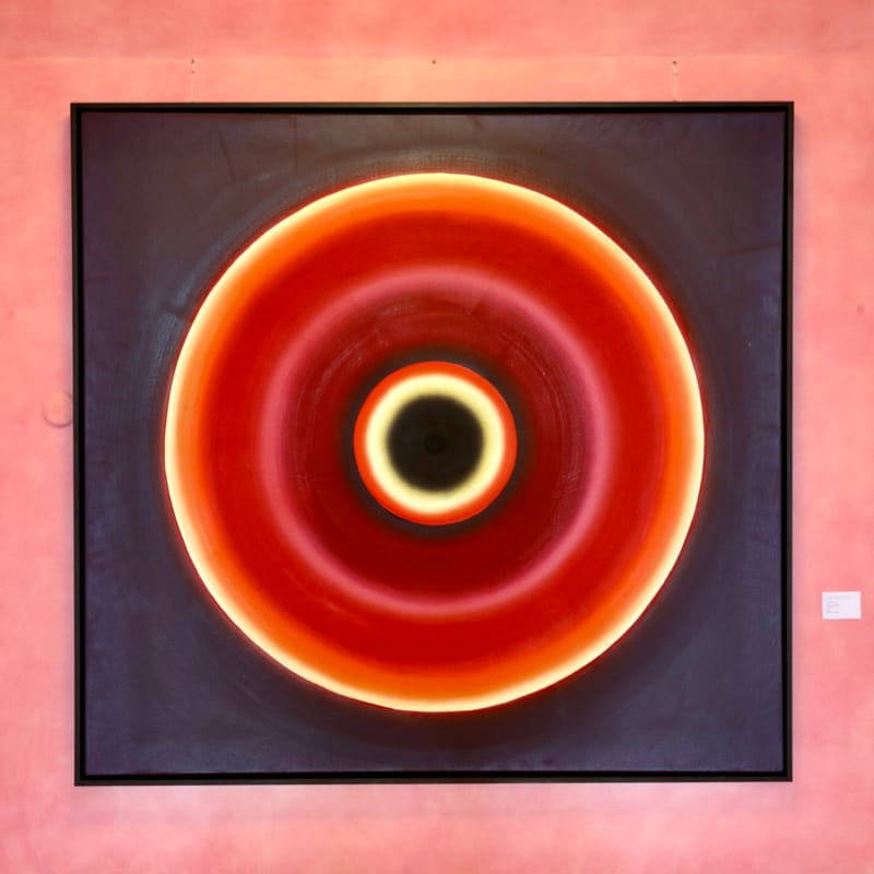 5. SUISSE 3 : BALE 3, Goetheanum & Steiner (à Dornach)