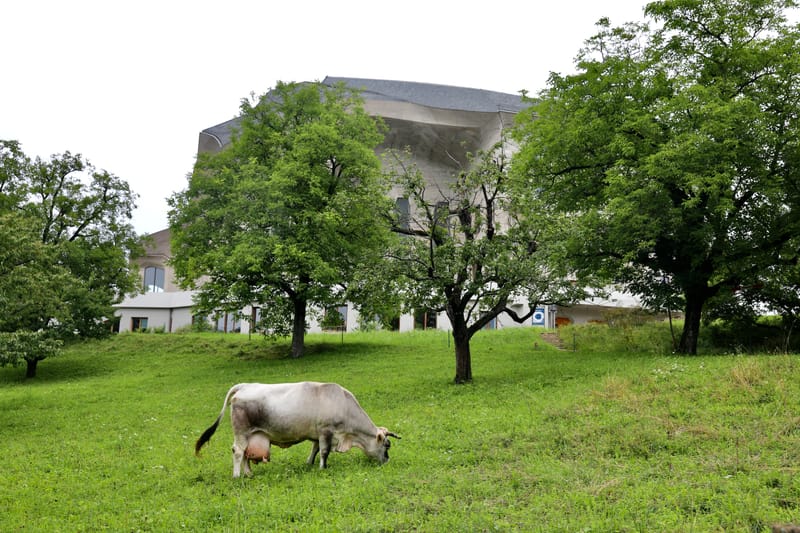5. SUISSE 3 : BALE 3, Goetheanum & Steiner (à Dornach)