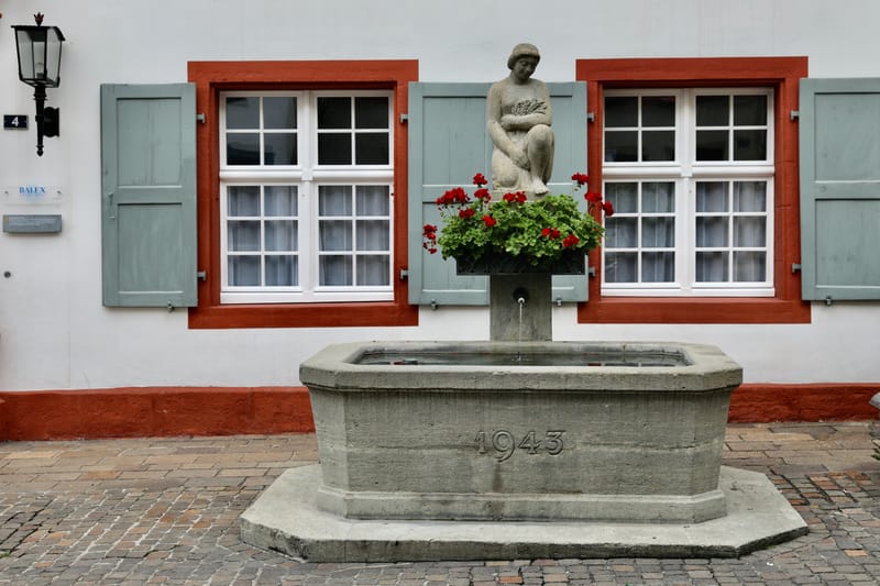 6. SUISSE 4/ALLEMAGNE 3 : Rheinfelden (Sui.), Chutes du Rhin-Neuhausen (All.)