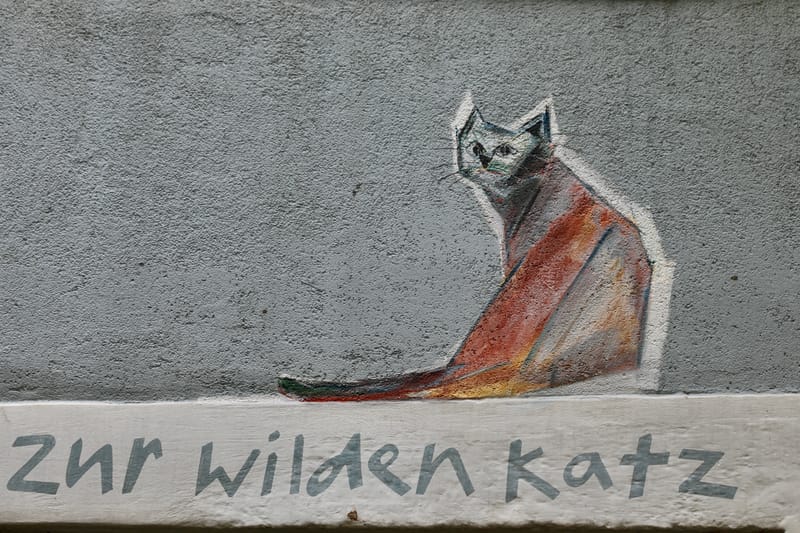 6. SUISSE 4/ALLEMAGNE 3 : Rheinfelden (Sui.), Chutes du Rhin-Neuhausen (All.)